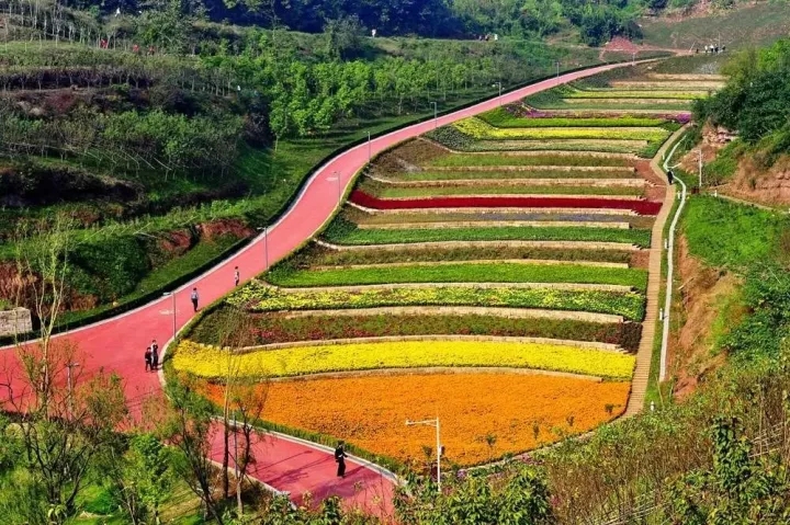 農(nóng)家樂(lè)